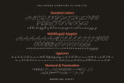 Hollywood Signature Monoline Font, a Handwritten Font by HIRO.std (Thumbnail 11 of 11)