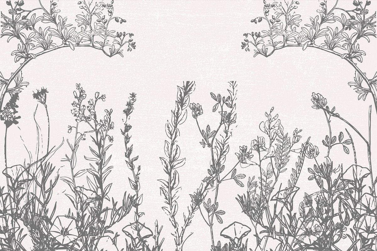 Dried Flowers, Petals, Shoots, an Illustration by TheBlackPixelCo (Photo 5 of 8)