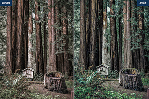 Forest Lightroom Presets