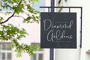 Blooming Stockholm Modern Script, a Script Font by stylishtype.co (Thumbnail 17 of 20)