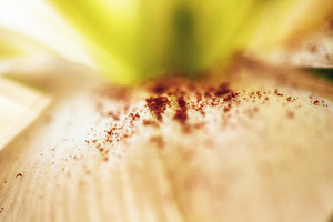 Macro shot of reddish flower pollen spilled on a soft lily petal. Close-up of d, a Nature Photo by Rohan Photography