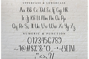 Samantha, a Handwritten Font by FreshTypeINK (Thumbnail 7 of 8)