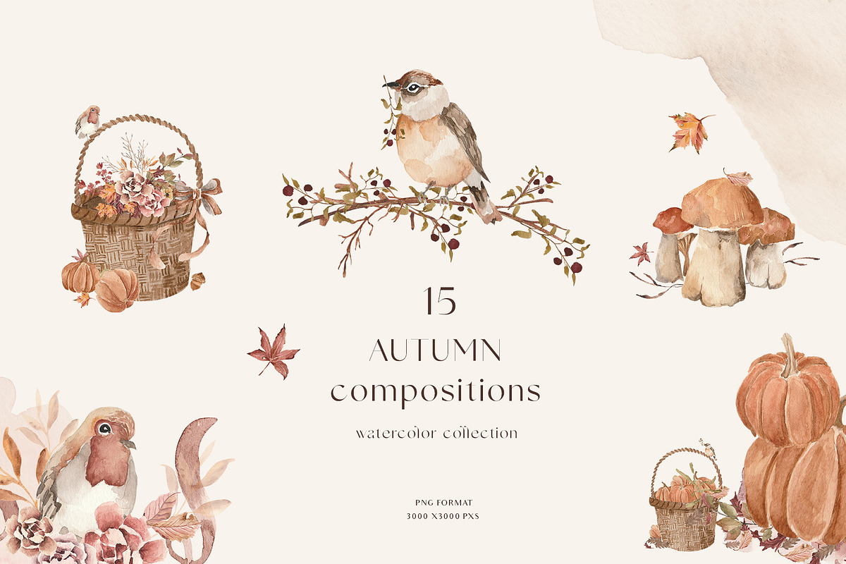 Fall Autumn set- Pumpkins & Florals, a Seasonal Illustration by Grace Noboa Illustrations (Photo 7 of 13)