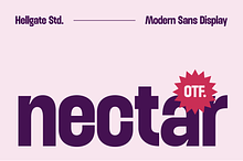 Nectar Modern Sans