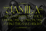 Jamila Stylist Display Serif, a Serif Font by RedyStudio (Thumbnail 1 of 12)