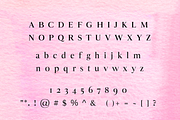 Delilah - Modern Serif Font, a Serif Font by blackdahliapress (Thumbnail 4 of 4)