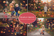 Maple Grove - falling leaves overlay, an Object Graphic by BrownLeopard (Thumbnail 1 of 2)