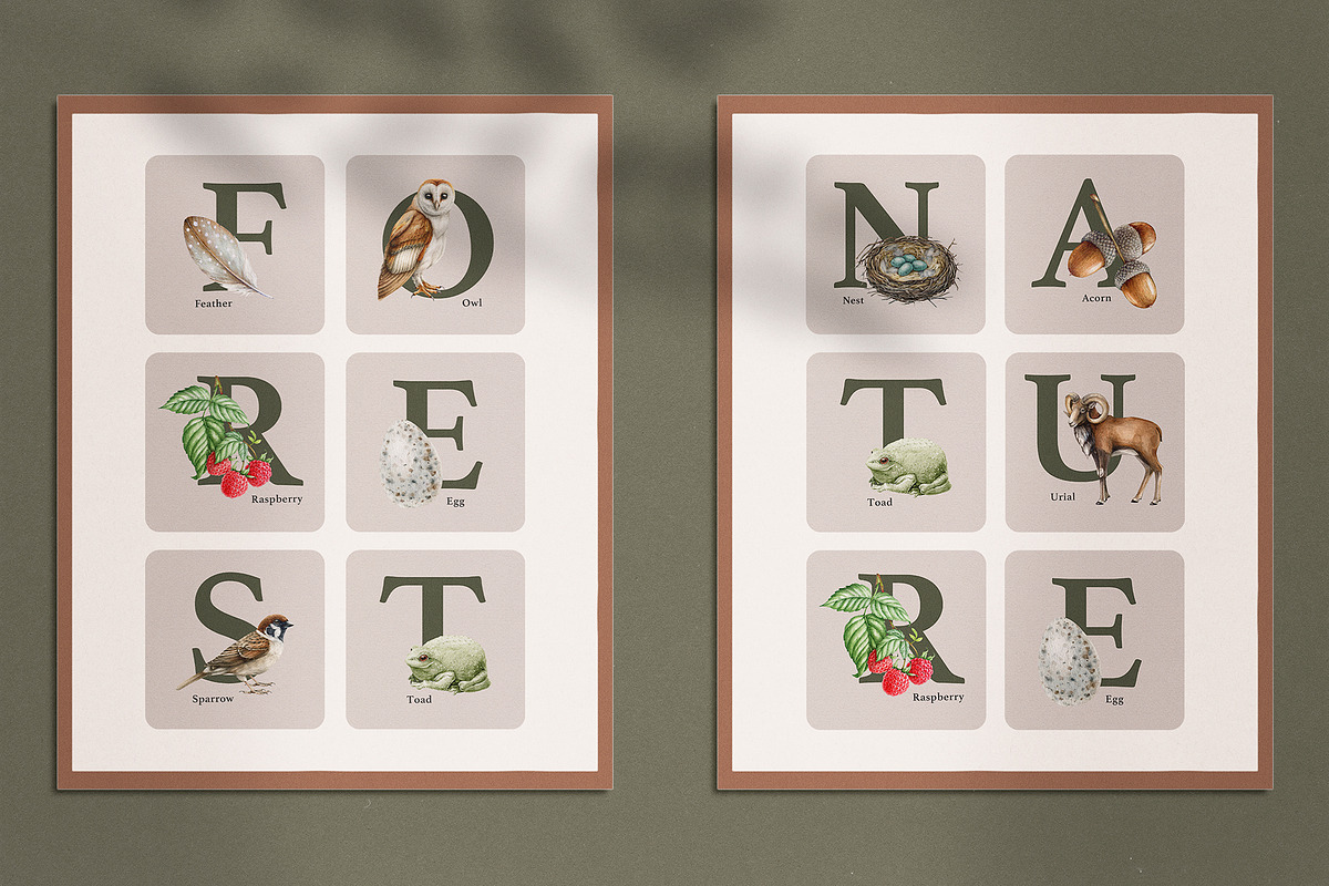 Forest Alphabet Watercolor Clipart, an Education Illustration by AnitaPol (Photo 10 of 12)