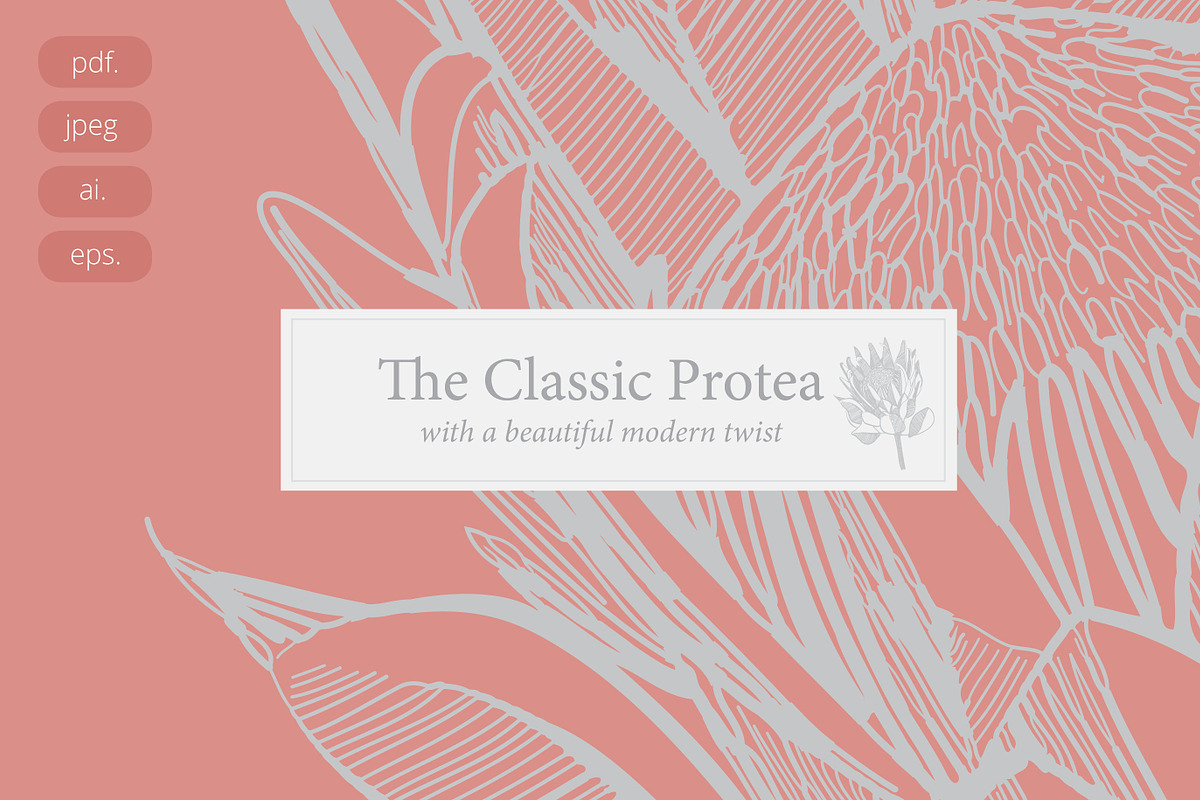 Protea Illustration Vector, an Illustration by Pretty Please Lara (Photo 4 of 6)