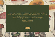 Ashland - An Easy, Breezy Font, a Serif Font by Midnight Grim (Thumbnail 5 of 5)