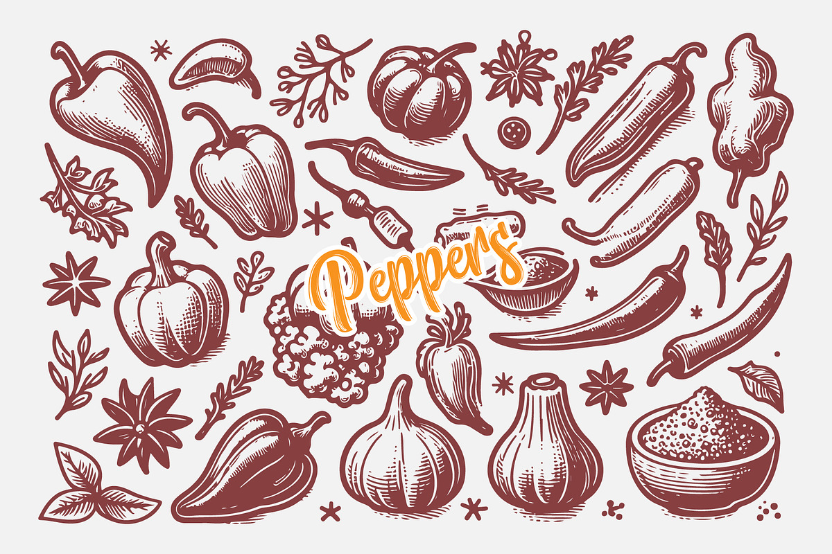 Hand Drawn Peppers and Herbs Coll, a Food Illustration by MkStudio (Photo 1 of 3)