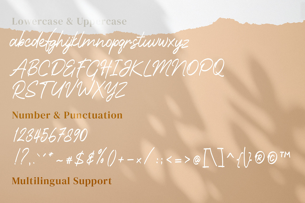 Emerlads, a Script Font by Tastype (Photo 6 of 7)