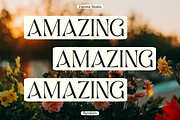 Ryndurn, a Serif Font by Zaloma Studio (Thumbnail 4 of 20)