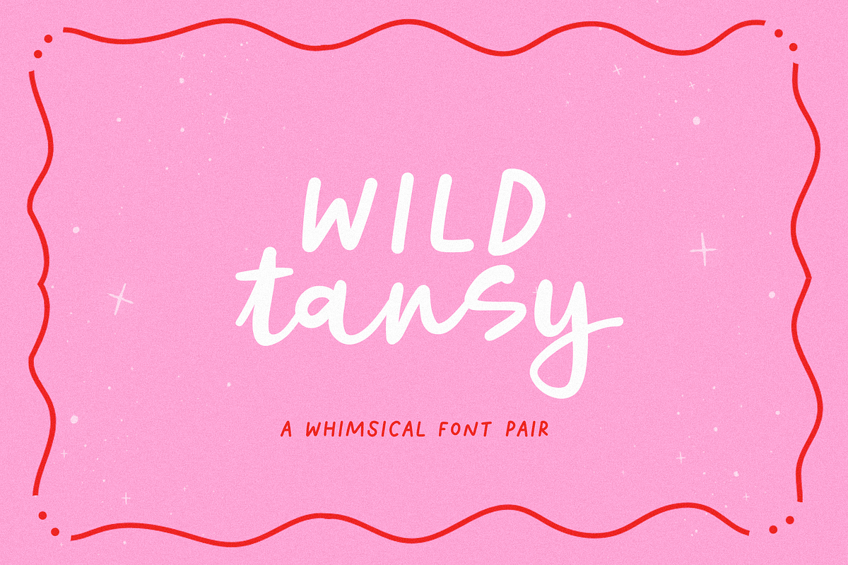 Wild Tansy Font Duo, a Script Font by KA Designs (Photo 1 of 15)