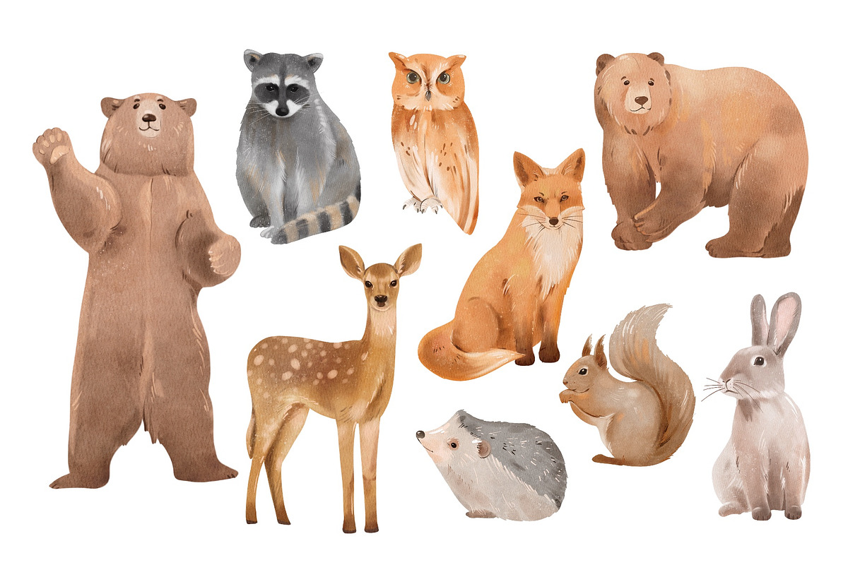 Watercolor Woodland Animals, an Animal Illustration by ArtGiftsStudio (Photo 2 of 5)