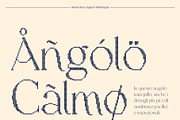 Raena Disco, a Serif Font by Craft Supply Co. (Thumbnail 7 of 8)