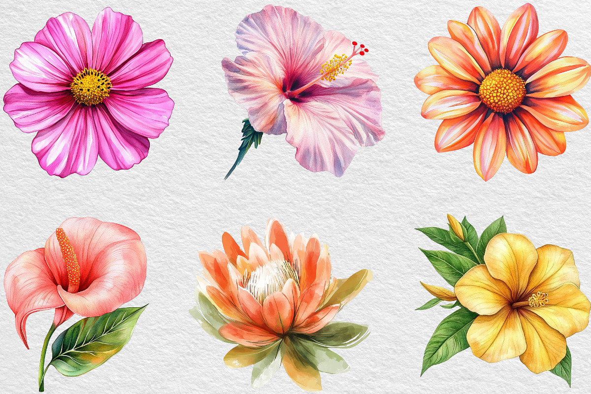 Watercolor Flowers Tropical PNG, an Illustration by Black Bird Studio (Photo 3 of 6)