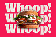Megan Cloudy - Charming Serif, a Serif Font by Variatype (Thumbnail 8 of 10)