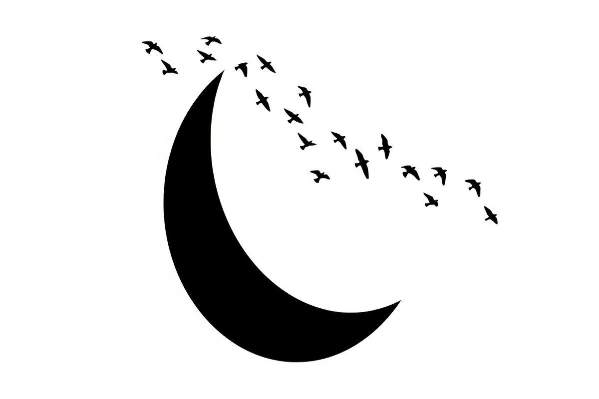 Flying Birds Moon SVG Bundle, an Illustration by yasushie (Photo 7 of 31)