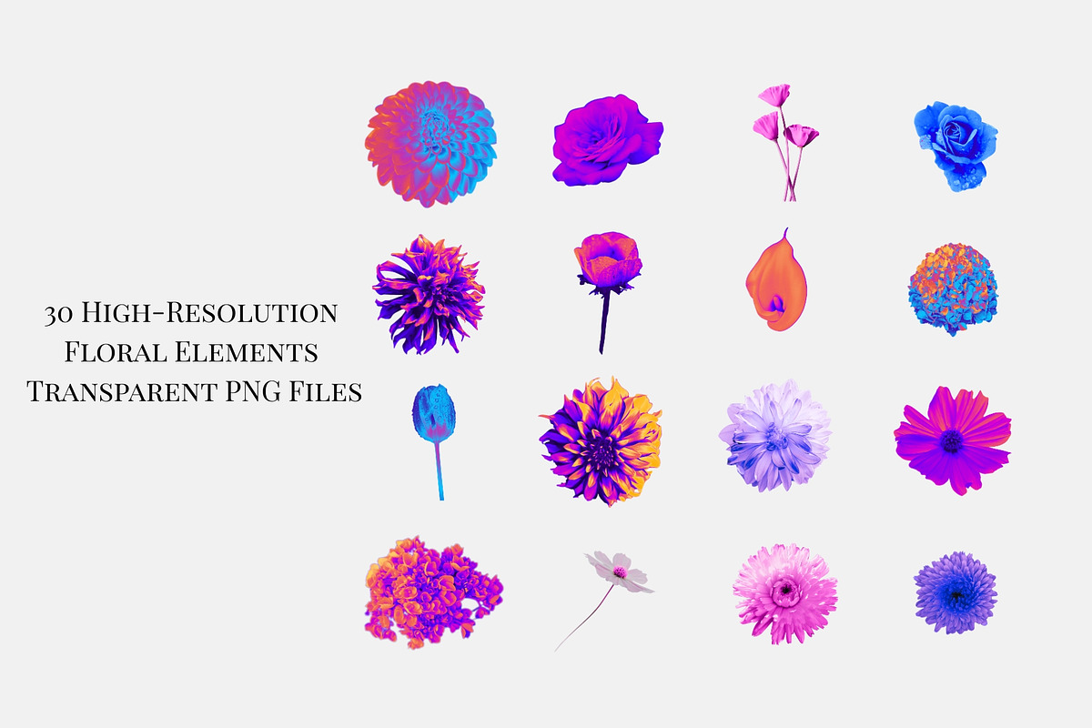 Vibrant Floral PNG Elements Pack, an Object Graphic by CreatingYOU.®, Lori Rice (Photo 3 of 7)