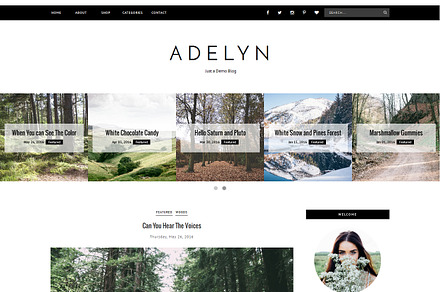 Blogger Template Responsive - ADELYN