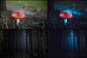 7000+ Professional Lightroom Presets, a Layer Style Add-On by Eldamar Studio (Thumbnail 20 of 33)