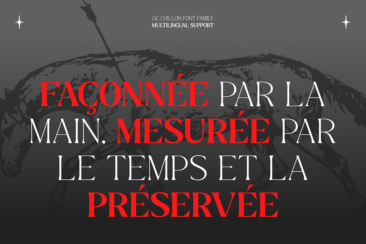 GC Chillon - Stylish Serif Display, a Serif Font by Glyphonic (Photo 15 of 15)
