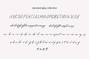 New Merrxi Script, a Script Font by mightype (Thumbnail 8 of 8)