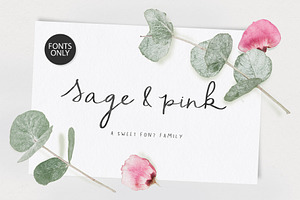 Script Font Sage and Pink