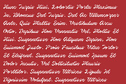 Berlin Script - A Display Script, a Script Font by Brainware Graphic (Thumbnail 2 of 5)