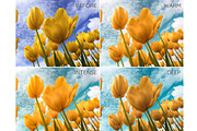 Orange Teal Lightroom presets, an Action Add-On by GDR Design (Thumbnail 7 of 8)