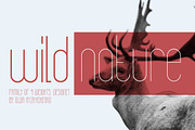 Banret. Font Family, a Sans Serif Font by Olga Ryzychenko (Thumbnail 7 of 11)