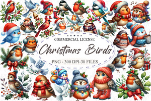 Whimsical Christmas Birds Clipart, an Illustration by designcity5
