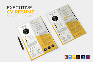 Executive Company CV & Resume