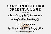 Boement - Chic Script Font, a Script Font by Prioritype Co (Thumbnail 10 of 11)