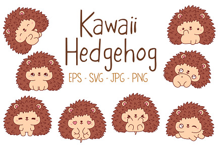 Kawaii Hedgehog Set Illustrations