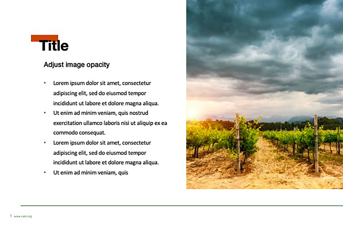 Colorful Template For Any Use, a Templates & Theme by Iconography - Pitch Deck (Photo 23 of 36)
