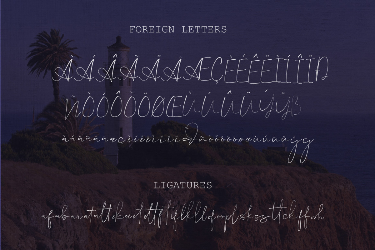 Lovely Script Bundle, a Script Font by Digital Hustler (Photo 28 of 33)