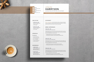 Clean Resume Word