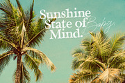 California Palms Fonts & Graphics, a Serif Font by Nicky Laatz (Thumbnail 27 of 48)