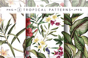 3 Tropical patterns & Floral set, a Pattern Graphic by ollalya (Thumbnail 1 of 5)