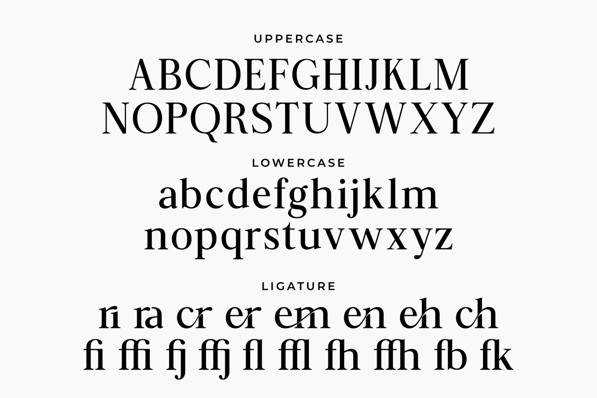 Zafira Serif, a Serif Font by Zafiratype (Photo 13 of 14)
