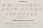 The Culturalist | Signature Modern, a Script Font by Teweka (Thumbnail 10 of 12)