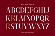 Regata - Elegant Serif Display Font, a Serif Font by Flawless And Co (Thumbnail 10 of 10)