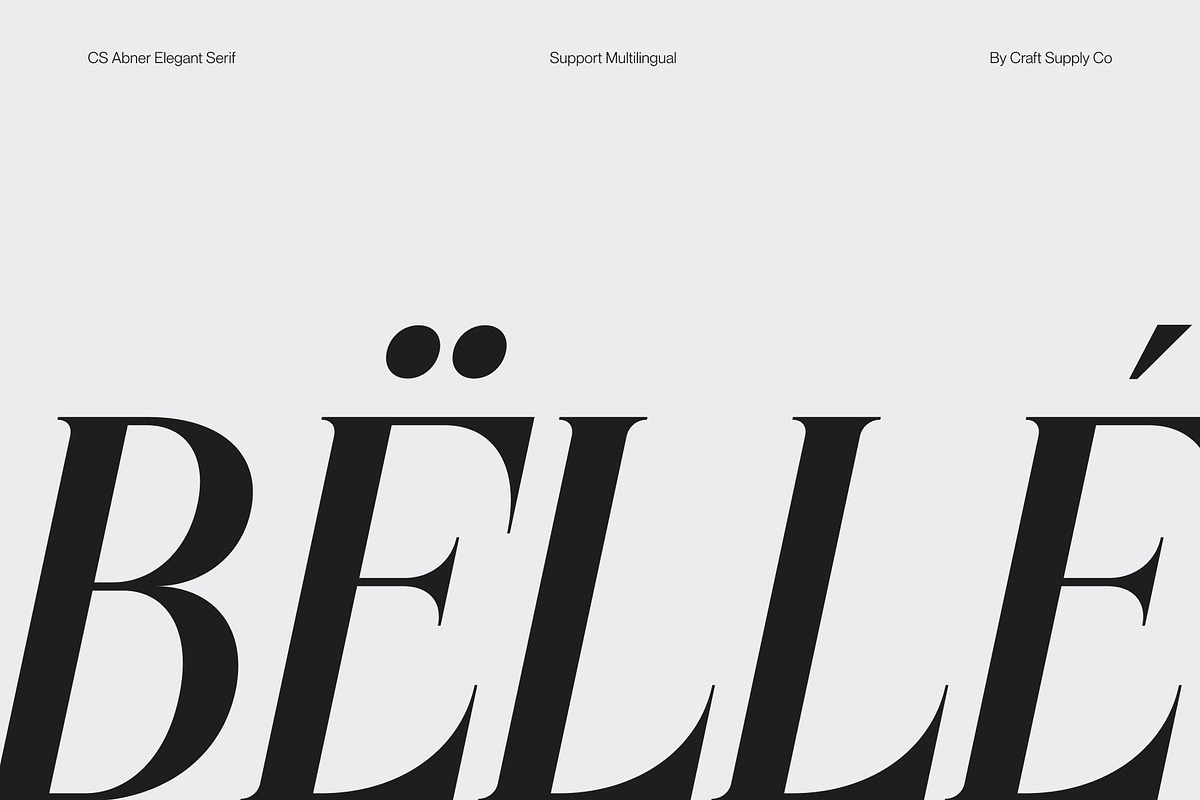 CS Abner – Elegant Serif Font, a Serif Font by Craft Supply Co. (Photo 7 of 8)