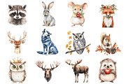 Watercolor Woodland Animals, an Illustration by Design Market (Thumbnail 2 of 3)