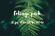 Foliage pack, a Templates & Theme by ApertureVintage (Thumbnail 6 of 21)