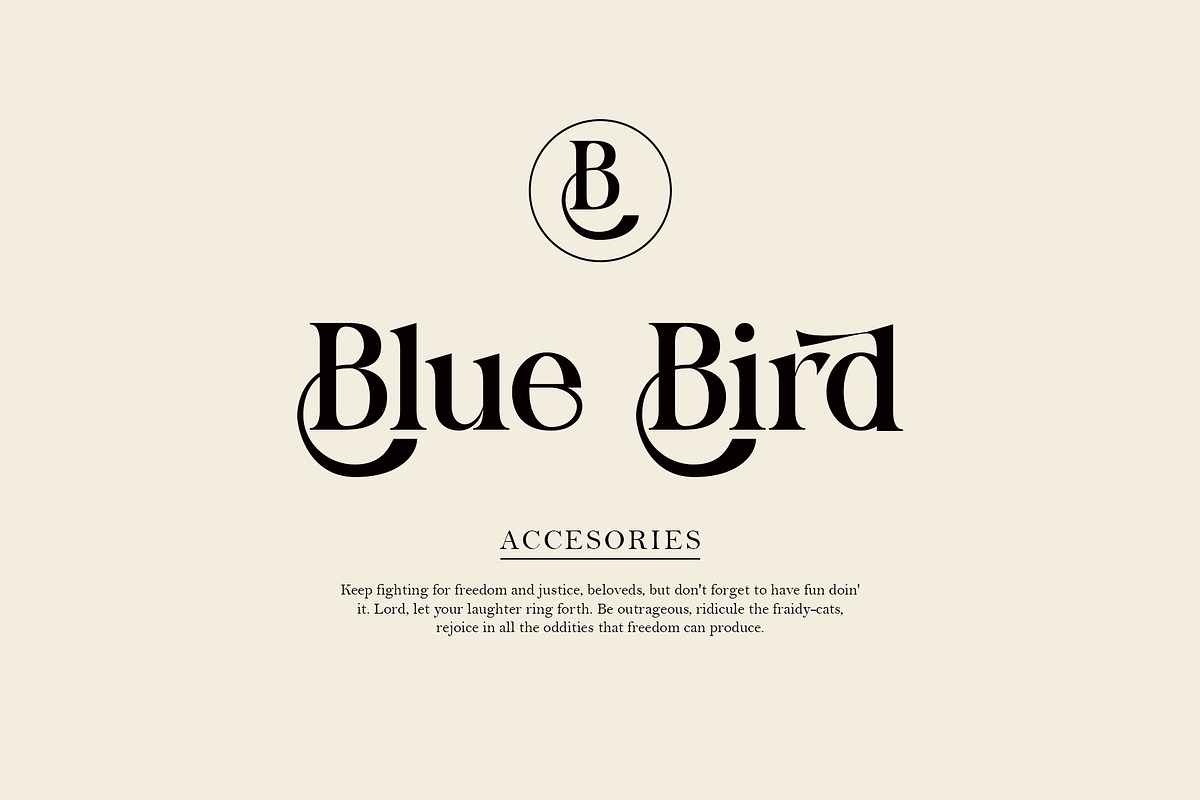 Blingh Ligature serif typeface, a Serif Font by yaqublekker (Photo 2 of 9)