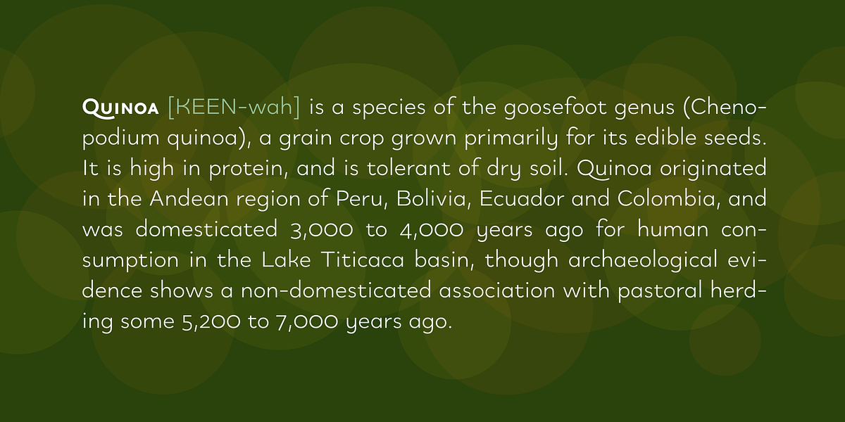 Quinoa, a Sans Serif Font by Catharsis Fonts (Photo 6 of 16)