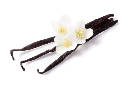 Vanilla sticks with flower isolated featuring spice, stick, and vanilla, a Food & Drink Photo by NataPhoto